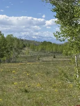 Wooded Recreation Land Lot