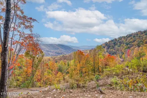 Scenic Mountain Acreage in Tennessee