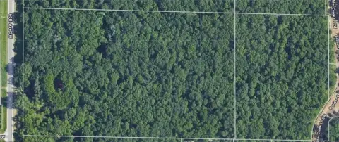 26.25 Acre Wooded Rochester Property