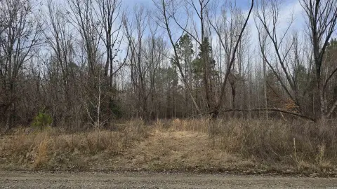 20 Acres Hunting Land