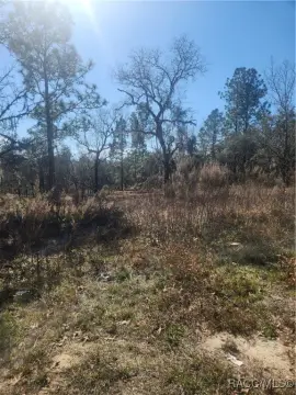 Citrus Springs Vacant Land Opportunity