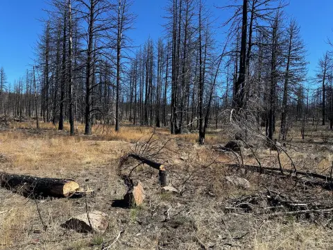 Bonanza, OR Land Opportunity