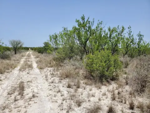 34 Acres Hunting Land, Texas