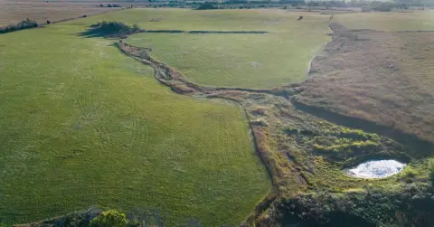 Native-Pasture Agricultural Land