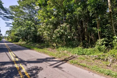 Tropical Residential Land Parcel