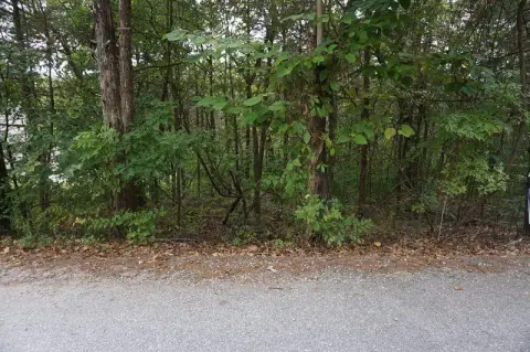 Vacant Lot Near Branson