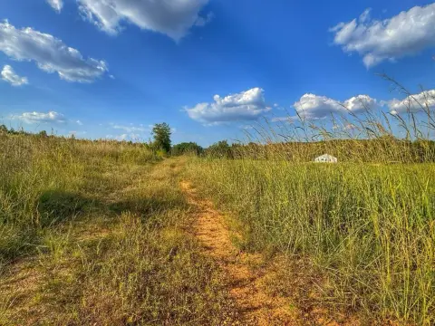 Agricultural Land with Pine Plantation