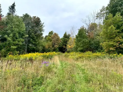 Wooded Hunting Land