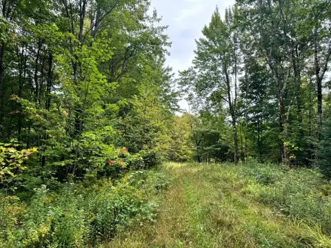 Wooded Recreation Land
