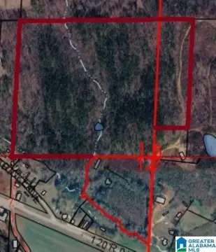 Agricultural Land with Timber