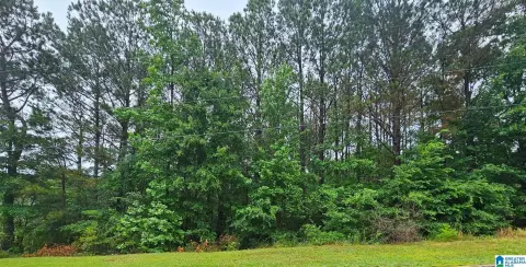 Residential Lot in Hickory Ridge