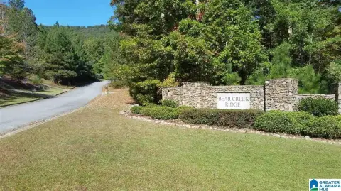 Wooded Lot in Chelsea Area