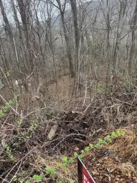 Residential Land in Cosby, TN