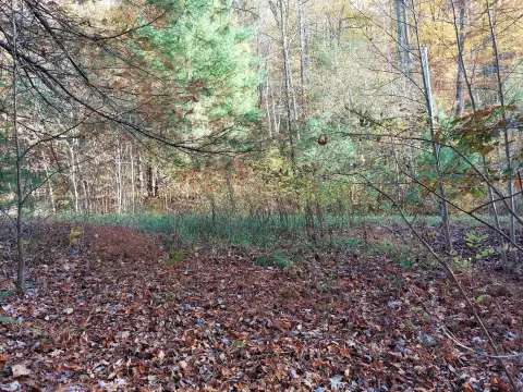 Del Rio Buildable Acreage