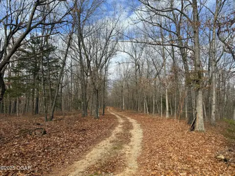 Ozarks Timbered Building Site