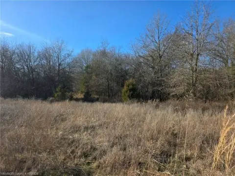 Recreational Hunting Tract with Creek