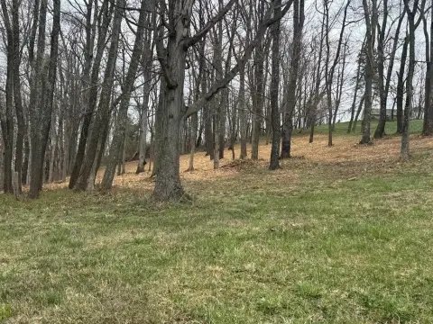 Glen Dale Land For Sale