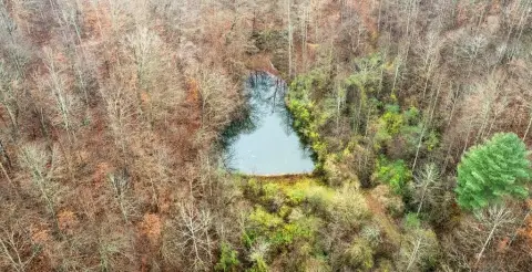 135 Acres in Eastern Kentucky