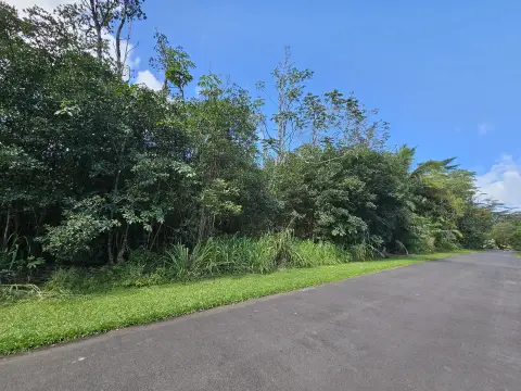 Residential Lot in Hawaiian Shores