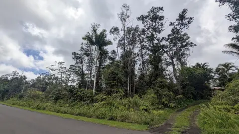 Wooded Residential Land Parcel