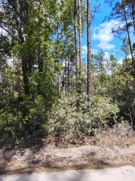 Agricultural Vacant Land Parcel