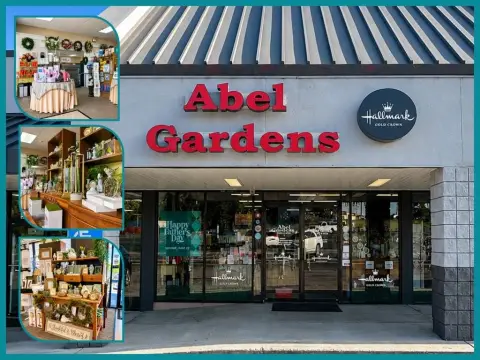 Turnkey Retail Business Opportunity