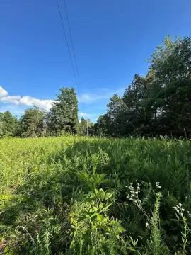 Recreational Timber Tract