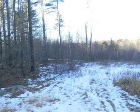 Sanford, ME: 5.53-Acre Lot