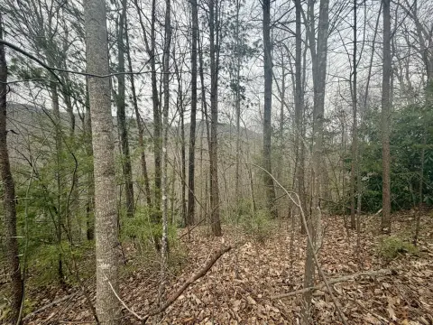 Gatlinburg Land with Mountain Views
