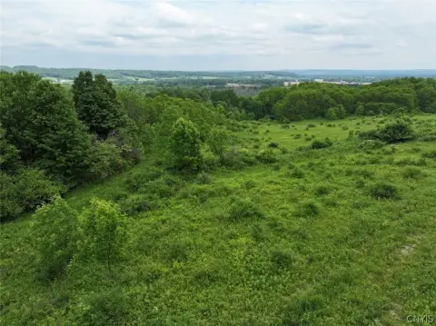 Wooded Hunting and Recreation Land