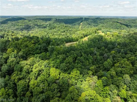 Wooded Hunting Land