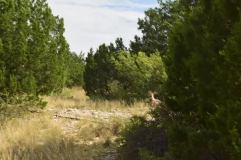 Secluded Ranch Near Carta Valley