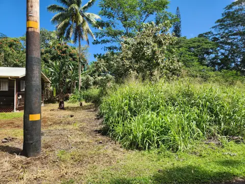 Cleared Land Parcel in Pahoa