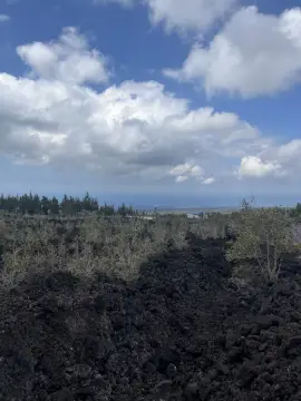 Ocean View Land Parcel