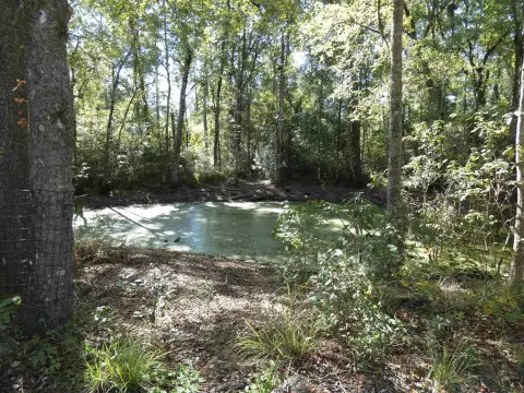 Crawfordville Land with Pond