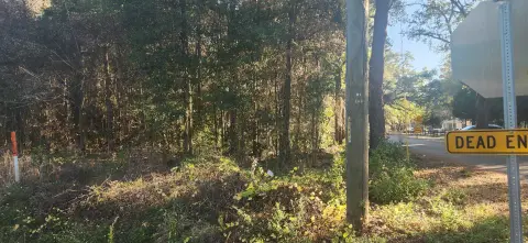 Versatile Land in Quincy, Florida