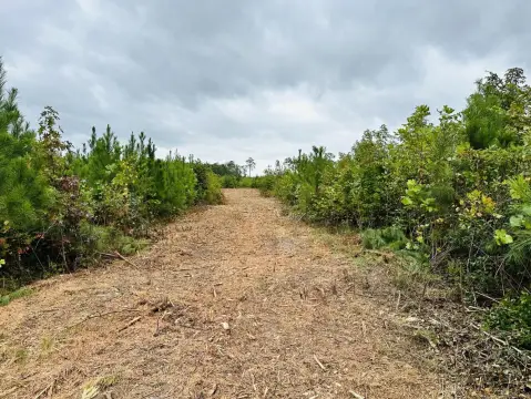 Waterfront Land Parcel