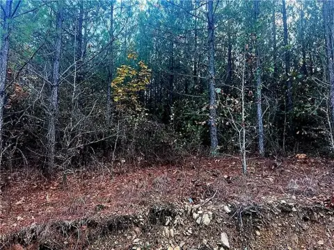 Vacant Land in Broken Bow