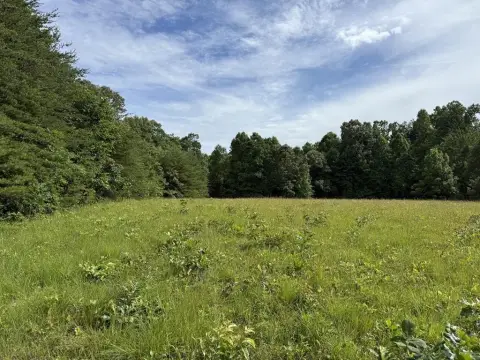Rural Land with Creek