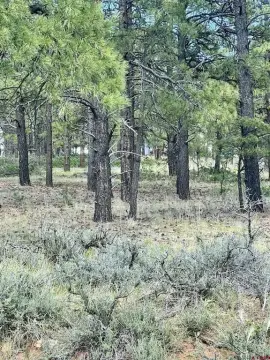 Mountain View Building Lot