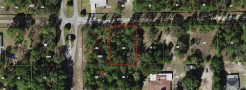 Vacant Land Near Crystal River