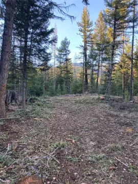 Montana Land in Kila