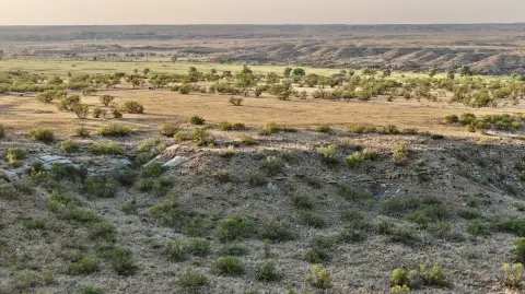 Agricultural Land with Water Well