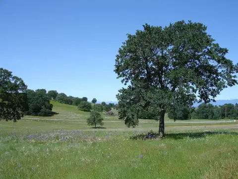 Recreation Land with Ponds