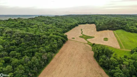Hunting and Recreational Farm Land