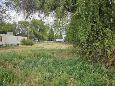 Vacant Lot with Mature Trees