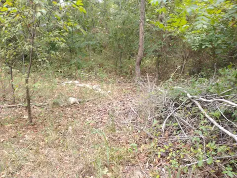 Branson Land For Sale