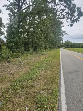 Recreational Land Near Norwood, Missouri