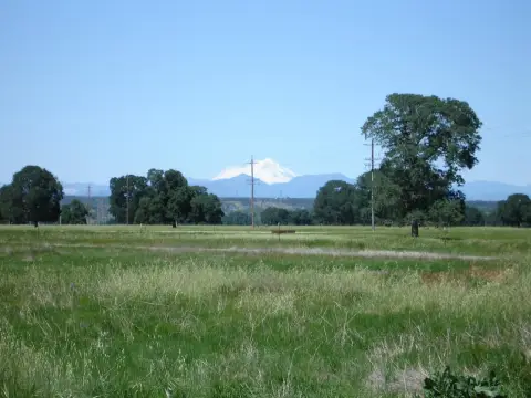 Level Corner Residential Land Lot