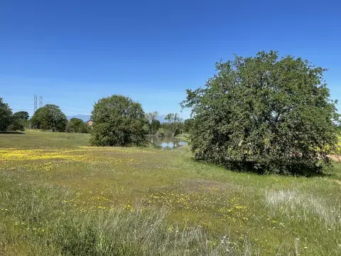 Corner Residential Land with Pond